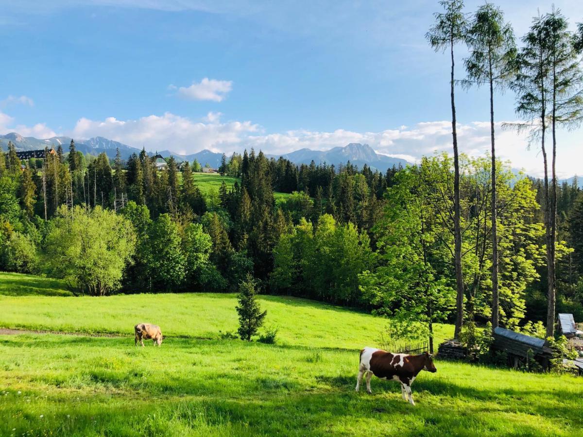 Tatrzanska Polana 5F Appartement Zakopane Buitenkant foto